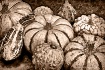 Vintage Autumn St...
