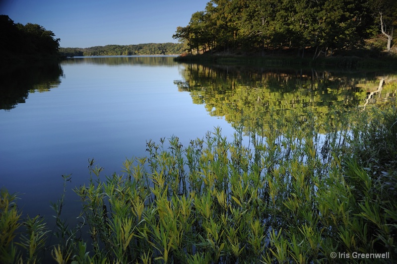 Lake of the Arbuckles