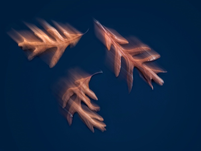 img2