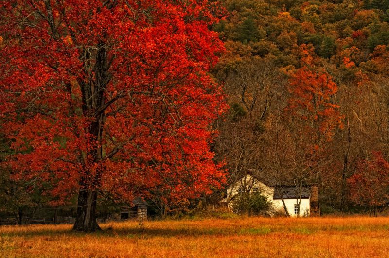 Farm House on an Autumn Morn