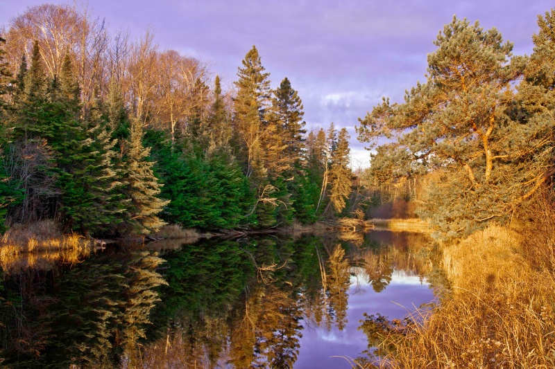 Reflected Stream