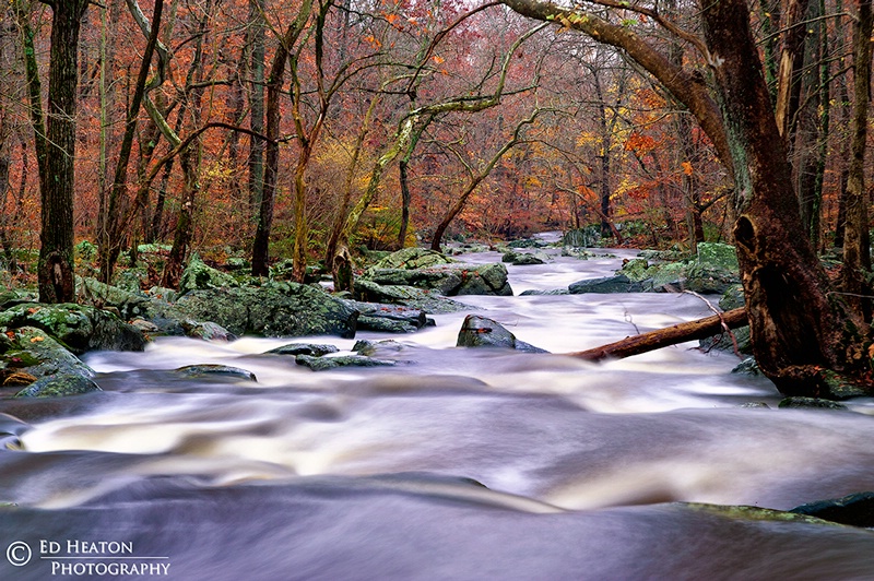 Brandywine Colors