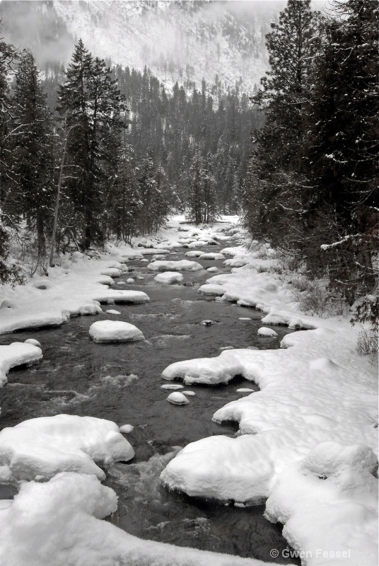 Snowy Creek 