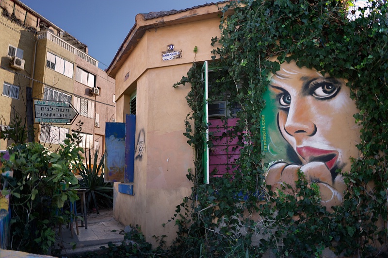 Tel Aviv - Rami Meiri's Painted Lady
