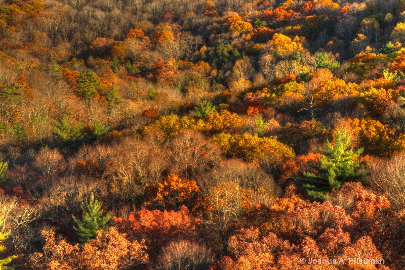 High Rocks Vista - Late Afternoon Light - Autumn