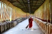The Monk