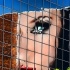 2Los Angeles Reflection - ID: 11081036 © Kathy Salerni