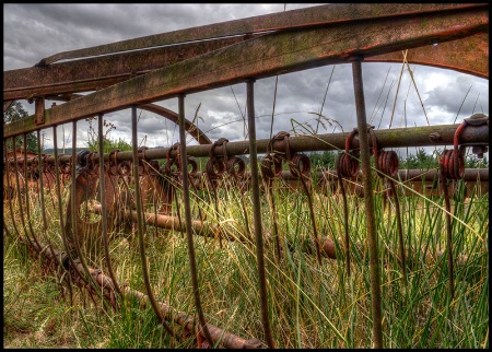 Vintage Harvest