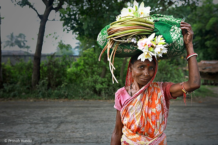 Indian Working Lady 