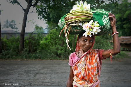 Indian Working Lady 