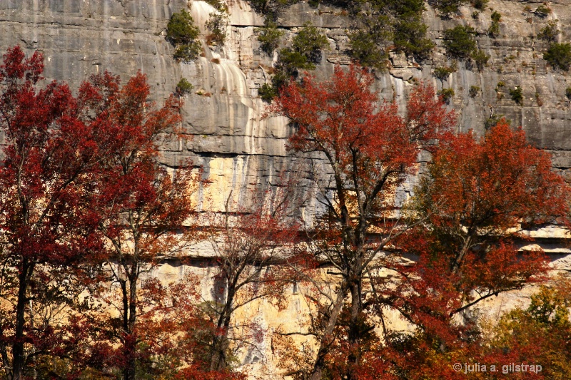 " Grand Canyon of the Ozarks"