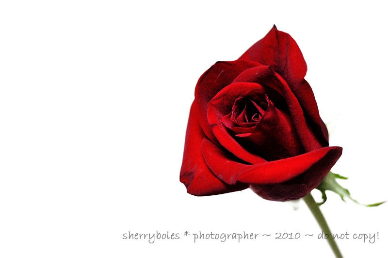 from him