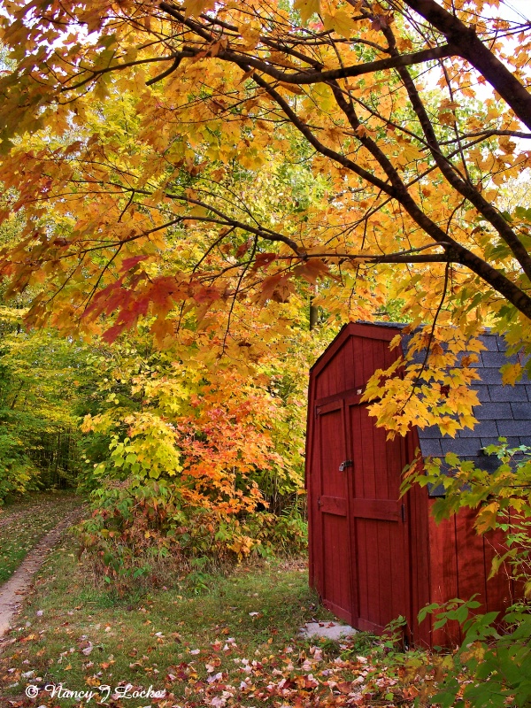 Country Autumn