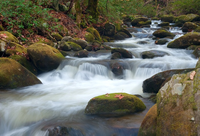 Smoky Mountains Stream 2 - ID: 11094144 © Donald R. Curry