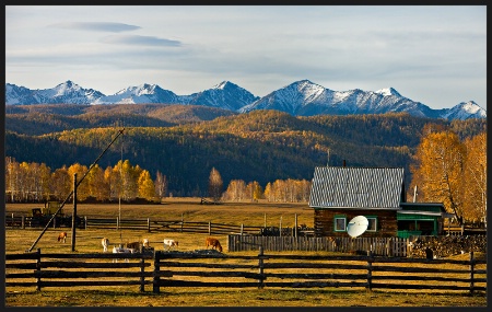 Fall in Siberia