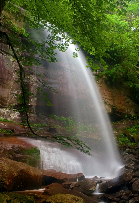 Rainbow Falls, Smoky Mountains - ID: 11098417 © Donald R. Curry