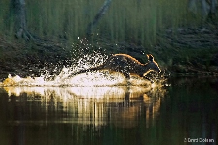 Water Crossing