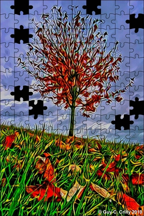 A Puzzle of Fall Colors