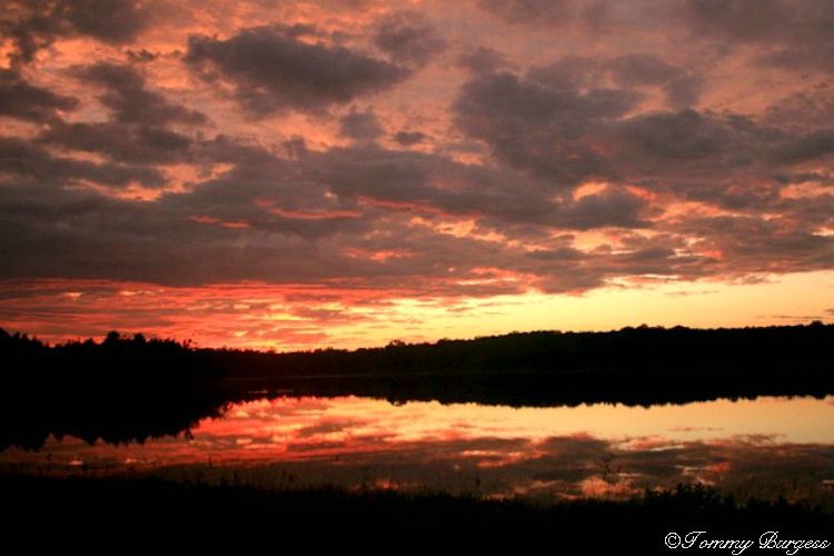 William E. Towell Lake