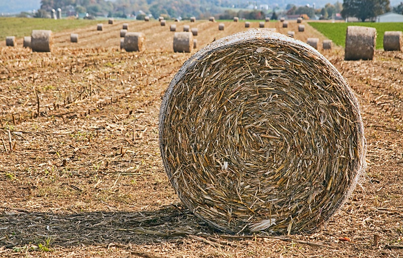 Agricultural Bale-Out