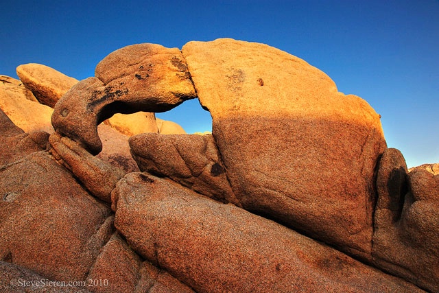 Lobster Claw Arch - Joshua Tree