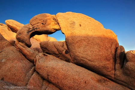 Lobster Claw Arch - Joshua Tree