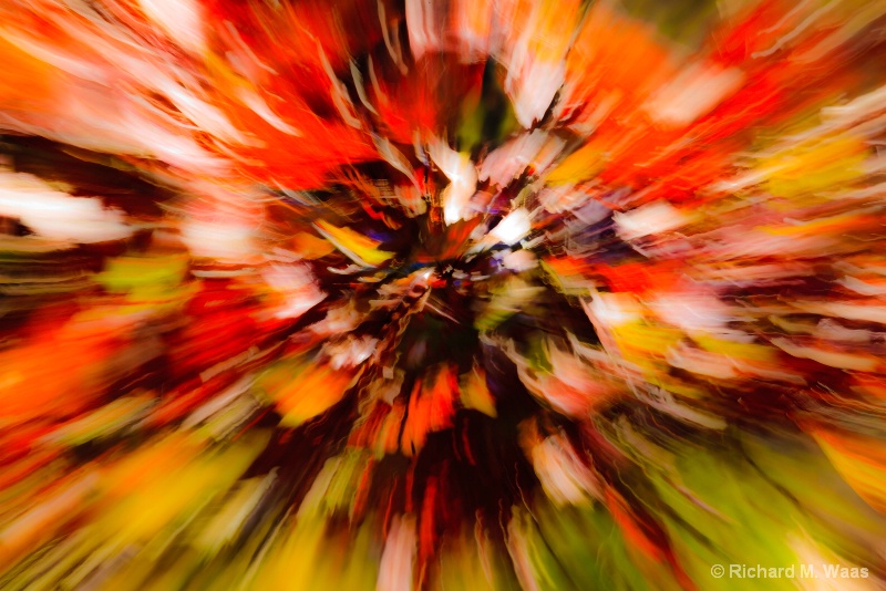 Zoom Into Fall - ID: 11129013 © Richard M. Waas