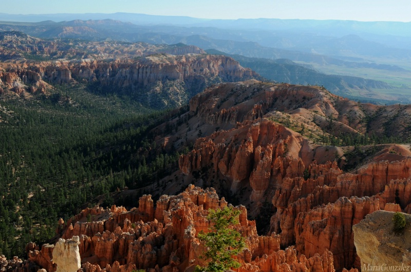 Shapes & Textures Of Bryce Canyon
