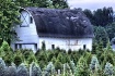 Christmas Tree Fa...