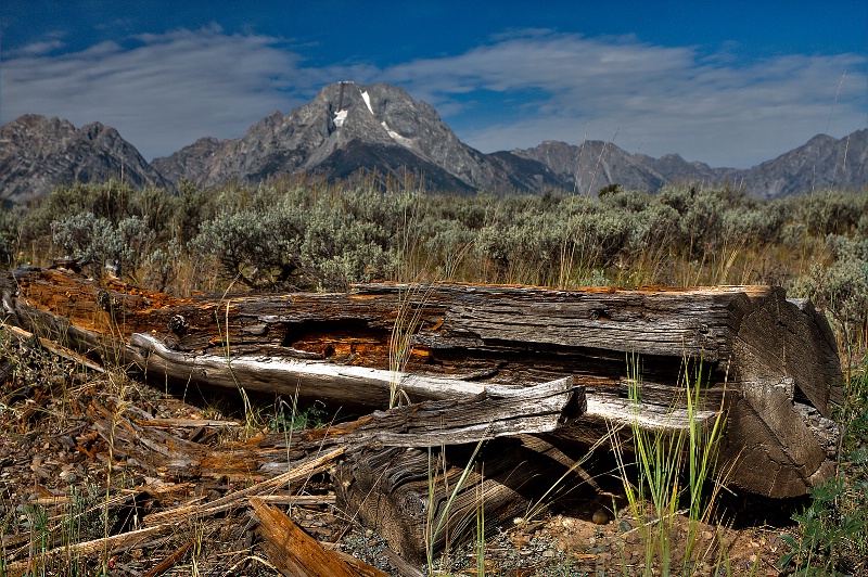 Teton Log (My Old Friend)