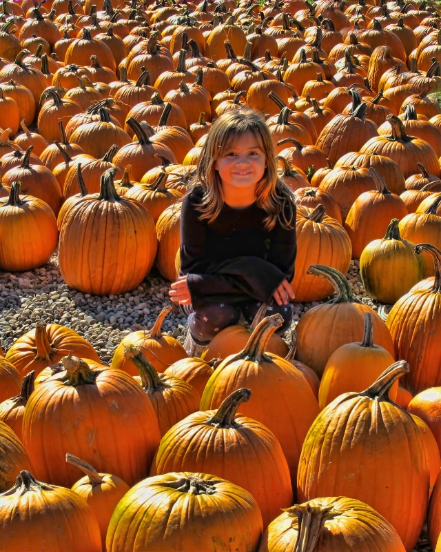 Lost in all the pumpkins