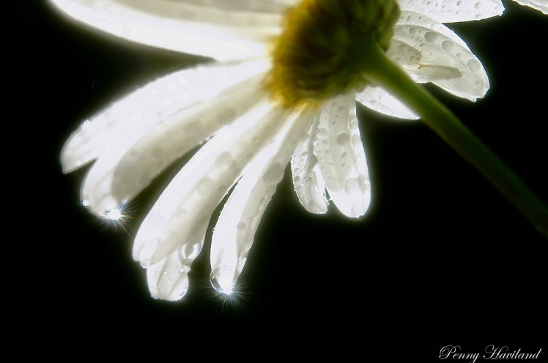 Drops of Light