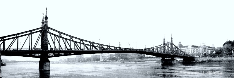 Freedom (or Liberty) Bridge over the Danube - ID: 11137729 © Eleanore J. Hilferty
