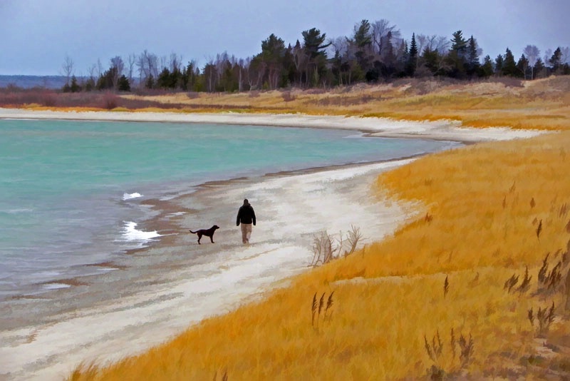 Beach Walkers.......