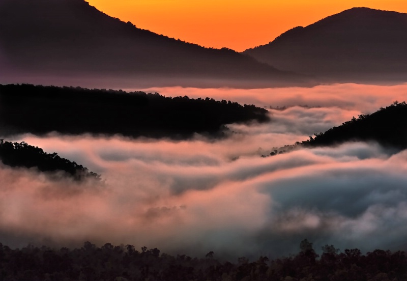 Mulgrave River valley