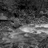 2Shannon Falls stream - ID: 11144388 © Liandra Barry 