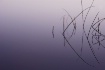 Reeds Geometry