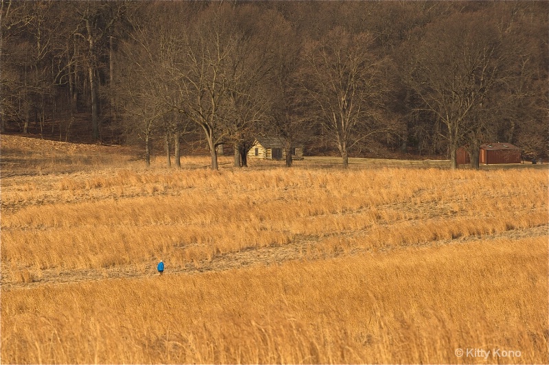 A Walk in the Field at Valley Forge