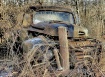 Nature Takes Back