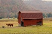 Horse Barn.