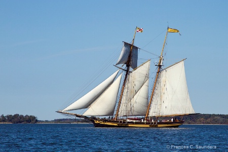 The Pride of Baltimore II (1)
