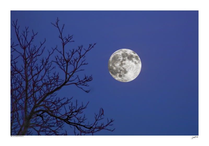 November Moon in New England