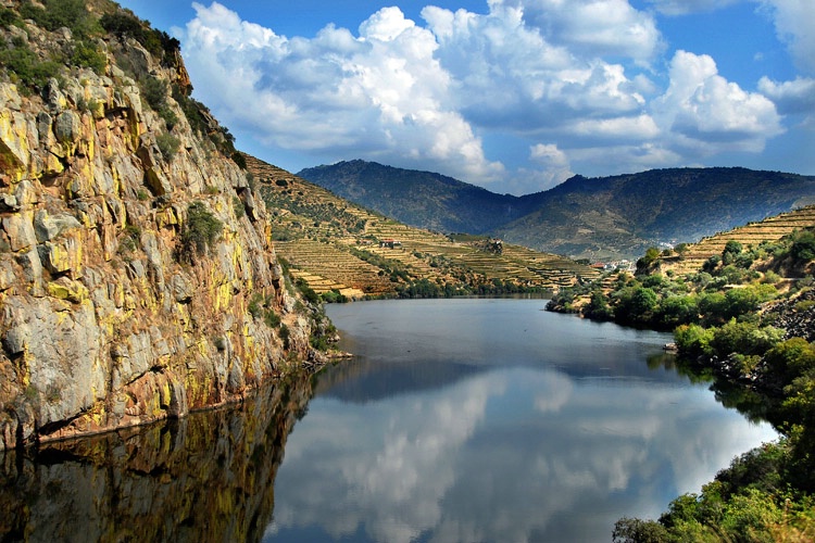 Douro Valley V - Port Wine Region