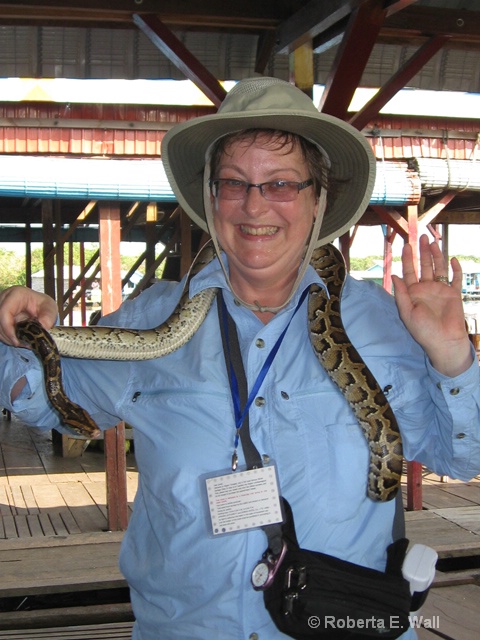 Joan with python