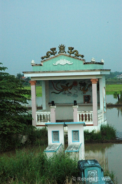 graves and tombs in rice paddies