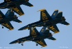US Navy Hornets