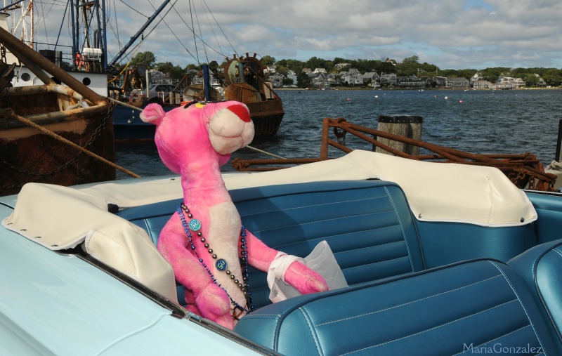 Pink Panther Rides In Style