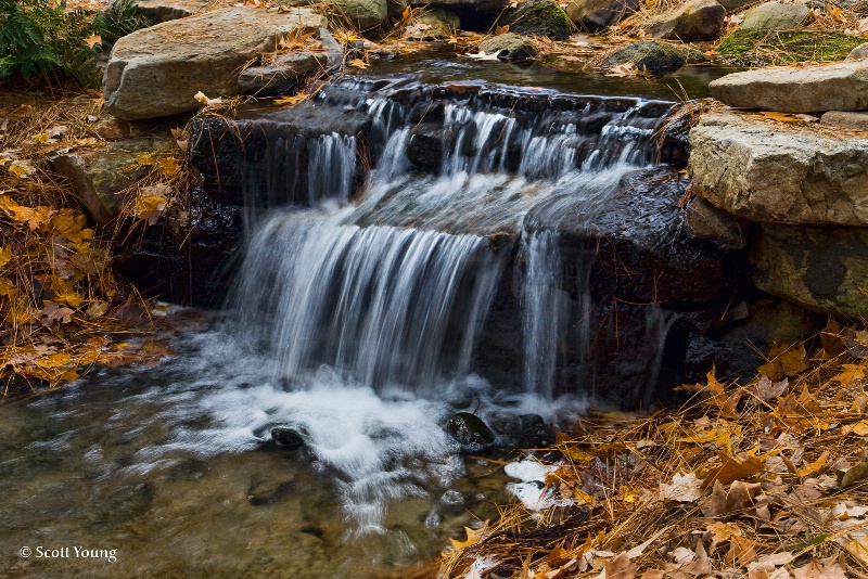 Cascade; Norfolk Botanical Gardens - ID: 11192777 © Richard S. Young