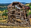 Goldmine Goldfiel...