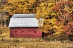 Barn In The Woods...